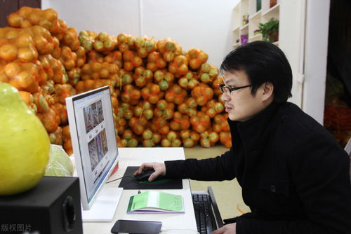 互联网赋能农业 八大创业方向引领农产品销售新浪潮