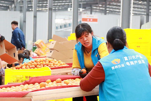 数字东风劲吹八桂，电商沃土绽放农香——广西“十三五”农产品网络销售年均增长28.9%