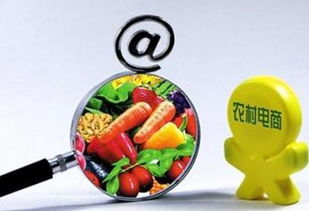 农业信息化与互联网销售 现代农业发展的双引擎